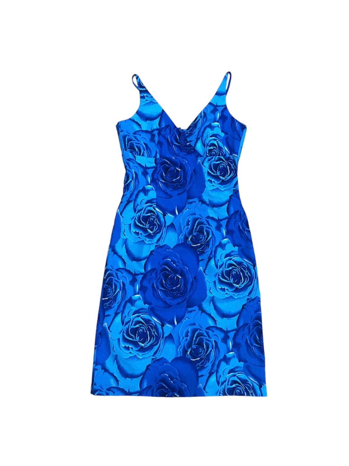 90s BLUE ROSE PRINT DRESS