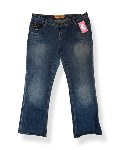 PLUS Y2K APPLE BOTTOM JEANS